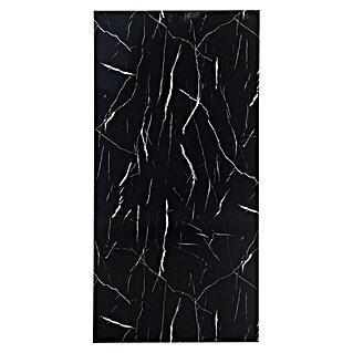 FibroTech Panelna plošča (100 x 260 cm, Črna)