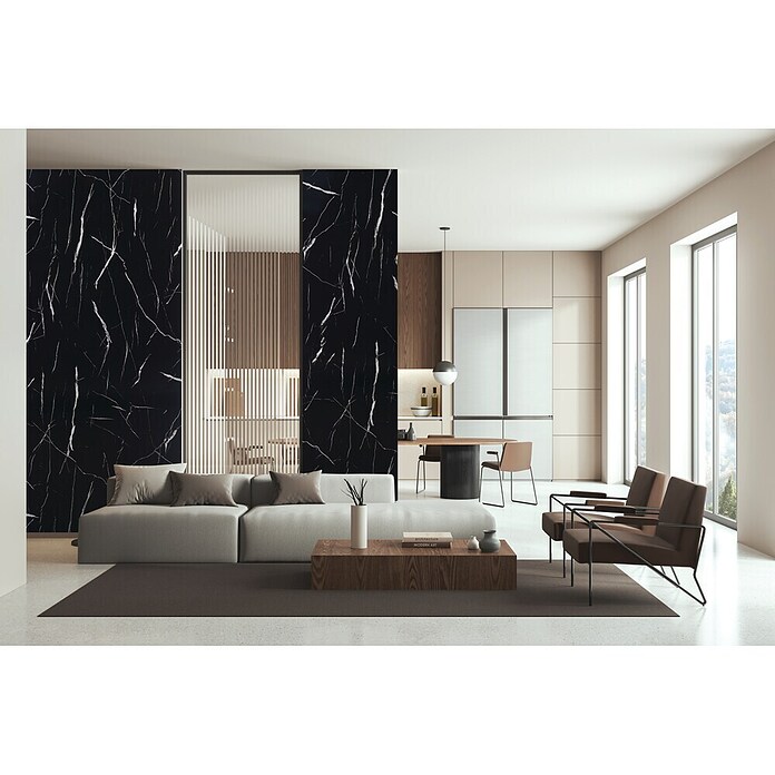 FibroTech Panel obloga  (100 x 260 cm, Crna) | BAUHAUS