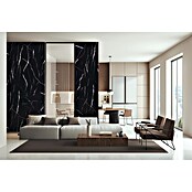 FibroTech Panel obloga  (100 x 260 cm, Crna) | BAUHAUS