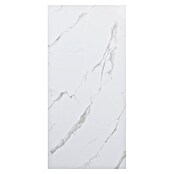 FibroTech Panel obloga  (100 x 260 cm, Bijela) | BAUHAUS