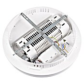 Trio Leuchten Stropni ventilator Kurula  (Ø x V: 48 x 15 cm, 37 W, Boja: Bijela) | BAUHAUS