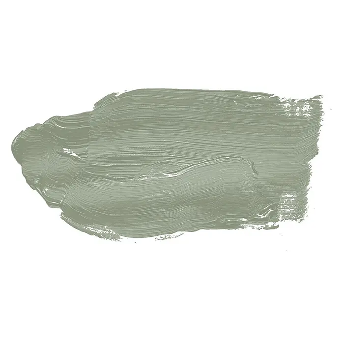 Tadessi Wandfarbe Sage Green - Grün, Matt, 5 l - Texturierter salbeigrüner Farbmuster mit sichtbaren Pinselstrichen.