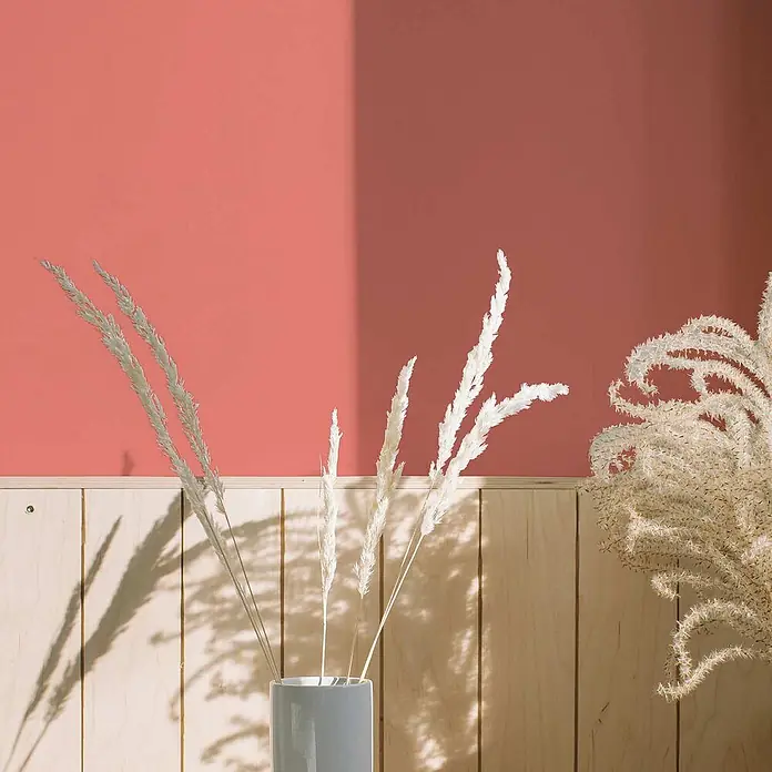 Tadessi Wandfarbe Puderrosa - Pink, Matt, 2,5 l - Weißes, getrocknetes Ziergras in einer grauen Vase auf Holzpaneelen vor einer korallenfarbenen Wand mit Schatten.