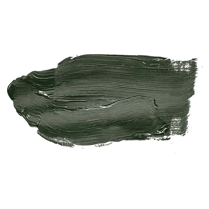 Tadessi Wandfarbe Sage Green - Grün, Matt, 5 l - Texturierter dunkelgrüner Pinselstrich mit sichtbaren Pinselspuren und Glanzbereichen.