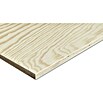 Sperrholzplatte Fixmaß I (Kiefer, 1.200 x 600 x 12 mm)