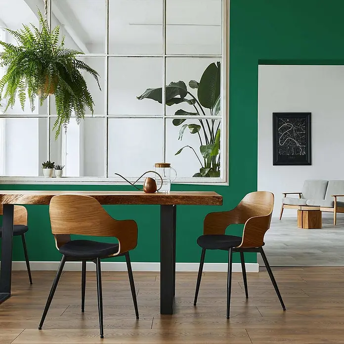Tadessi Wandfarbe Dschungelgrün - Grün, Matt, 1 l - Moderne Esszimmerstühle mit Holzrücken, schwarzen Sitzen und Metallbeinen um einen Holztisch.