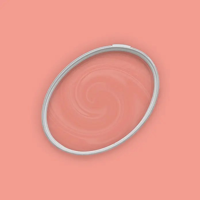 Tadessi Wandfarbe Korallenpink - Rosa, Matt, 2,5 l - Ovaler Stickrahmen mit hellgrauem Gestell und hellkorallfarbenem Stoff mit Wirbelmuster.