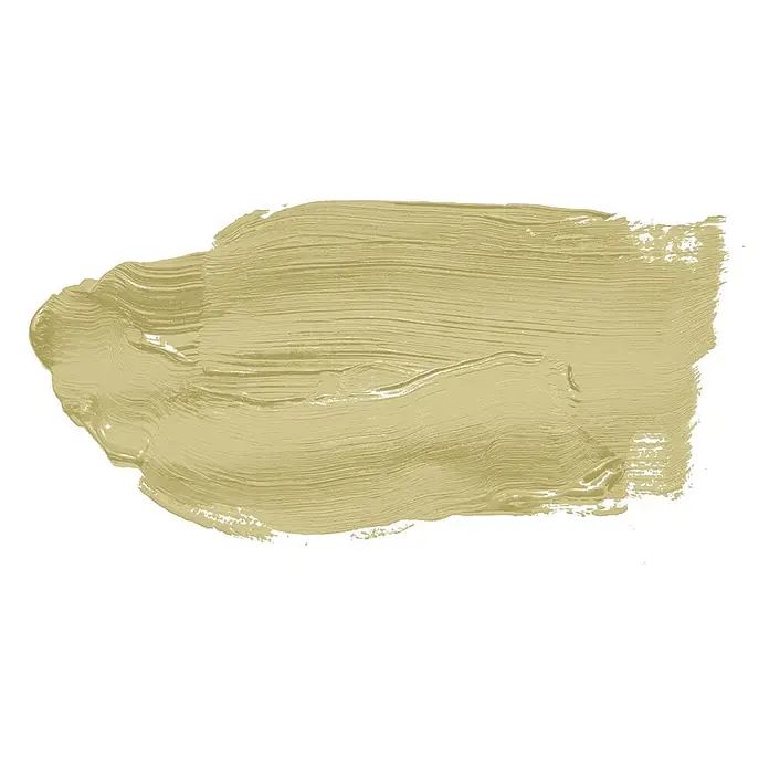 Tadessi Wandfarbe Sandgrün - Grün, Matt, 2,5 l - Opaker Khaki-Pinselstrich mit Pinseltextur.