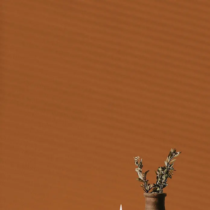 Tadessi Wandfarbe Champagner - Orange, Matt, 1 l - Kleine Pflanze in einem Terrakottatopf mit einer weißen Kerze vor orangefarbenem Hintergrund.