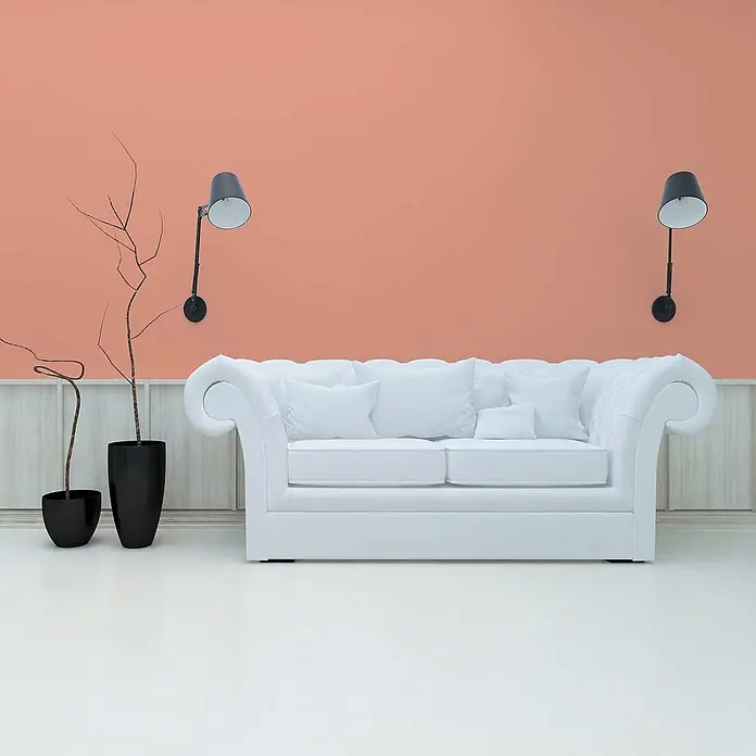 Tadessi Wandfarbe Aprikose mitteldunkel - Rosa, Matt, 2,5 l - Weißes Polstersofa in einem Raum mit pfirsichfarbener Wand, zwei schwarzen Wandlampen und Zierästen in schwarzen Töpfen.