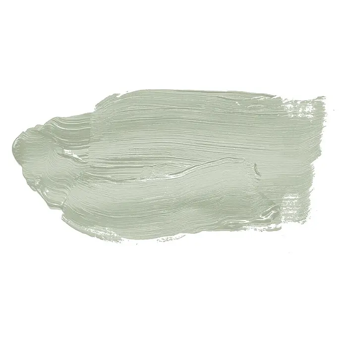 Tadessi Wandfarbe Sage Green - Grün, Matt, 5 l - Gedämpfter grüner Pinselstrich mit sichtbarer Textur.