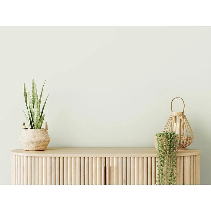 Tadessi Wandfarbe Alabaster - Beige, Matt, 5 l - Helles Holz Anrichte mit Rillenstruktur, Schlangenpflanze im Korb, String of Pearls und Laterne.