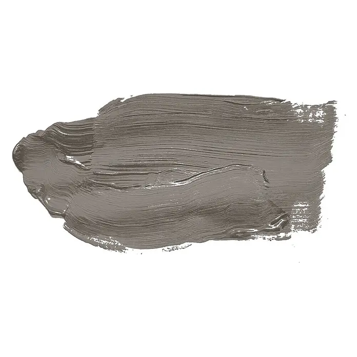 Tadessi Wandfarbe Mocha - Taupe, Matt, 5 l - Strukturierte graue Farbprobe.