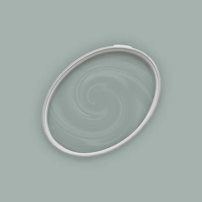 Tadessi Wandfarbe Sage Green - Grün, Matt, 5 l - Weißer ovaler Kunststoffdeckel mit transparentem, verwirbeltem Zentrum.