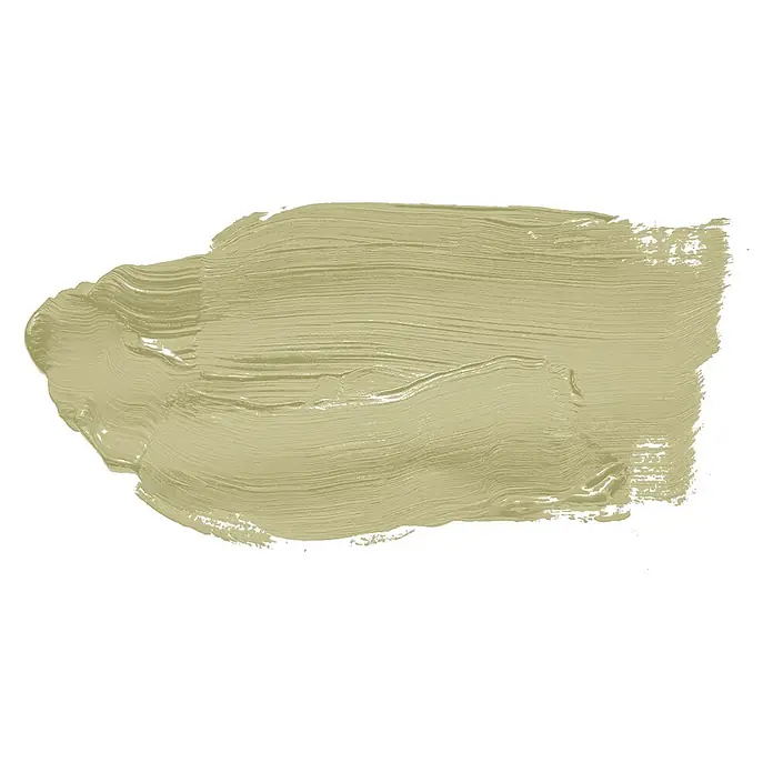 Tadessi Wandfarbe Sage Green - Grün, Matt, 2,5 l - Helle olivgrüne Farbprobe mit sichtbaren Pinselstrichen.