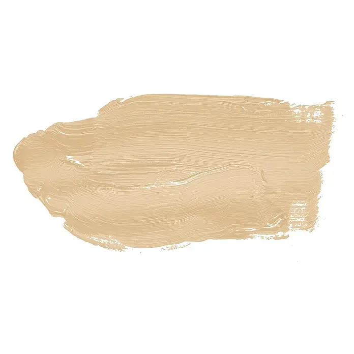 Tadessi Wandfarbe Toffee Mocha - Beige, Matt, 5 l - Cremiger hellbeiger Kosmetikprodukt-Farbtest mit sichtbaren Pinselstrichen.