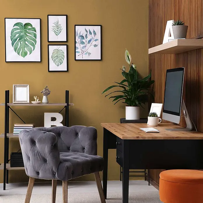 Tadessi Wandfarbe Landgelb - Orange, Matt, 2,5 l - Ein gemütliches Heimbüro mit schwarzem Schreibtisch, heller Holzplatte und grauem Sessel, umgeben von Pflanzen und Wandkunst.