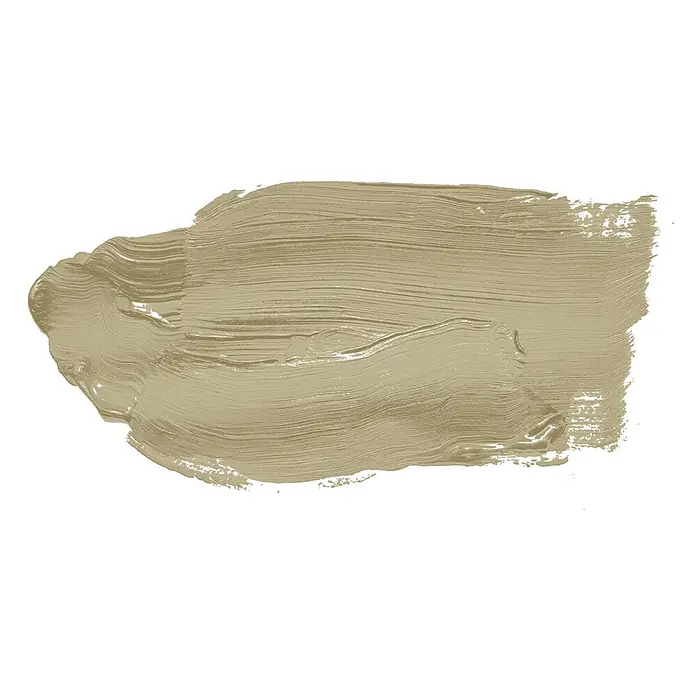 Tadessi Wandfarbe Mocha - Grün, Matt, 2,5 l - Strukturierter Farbauftrag in gedecktem Khaki-Beige.