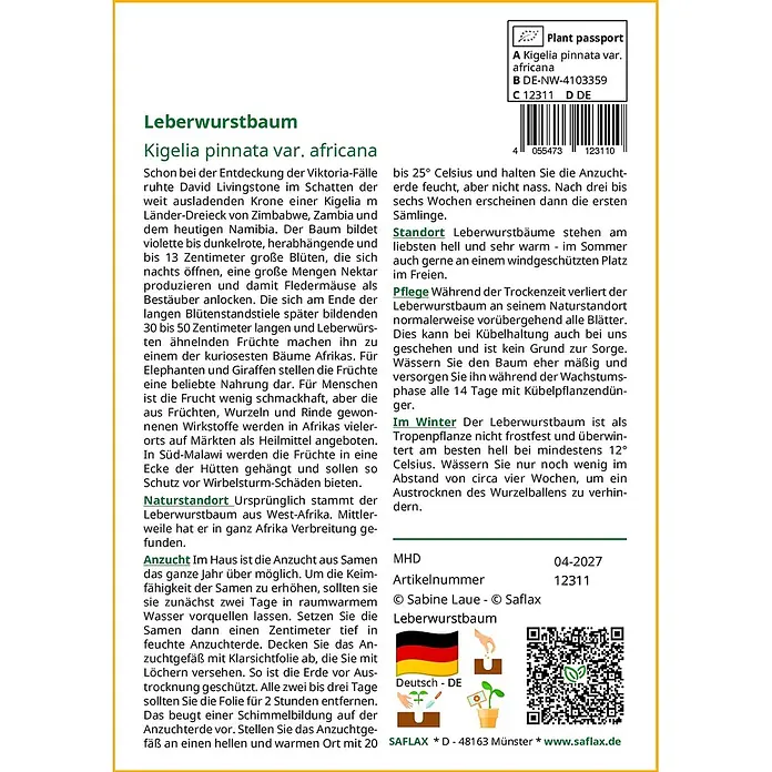 Saflax Blumensamen - Kigelia pinnata var. africana - Informationen für Kigelia pinnata var. africana (Leberwurstbaum) mit Pflanzenpass, Barcode, Anzuchtanleitung und Illustrationen.