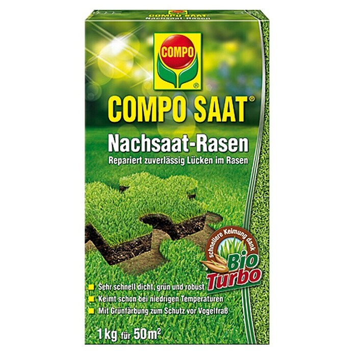 Compo Saat Travna semena za dosejevanje  (1 kg, 50 m²) | 8125 - Rasensamen Marke | IBYA - Sämereien | IBY - Sämereien | IB - Grünpflanzen/Sämereien | I - Stadtgarten | BAUHAUS