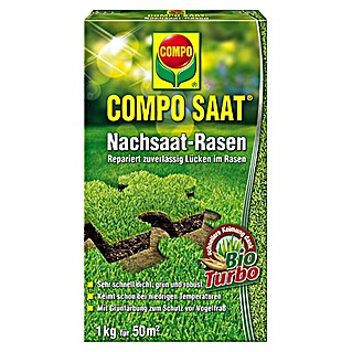 Compo Saat Travna semena za dosejevanje (1 kg, 50 m²)