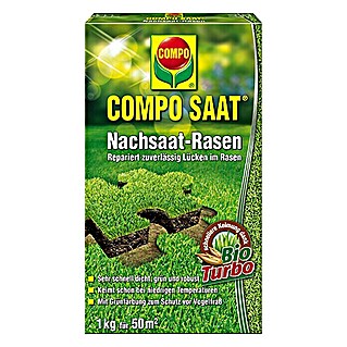 Compo Saat Travna semena za dosejevanje (1 kg, 50 m²)