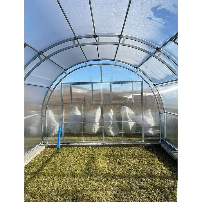 Garten Dream Gewächshaus Oasis, 10mm Polycarbonat - Außenmaß inkl. Dachüberstand (B x T): 400 x 600 cm, Material Seitenwand: Kunststoff, 10 mm, Silber - Innenansicht eines Bogengewächshauses mit Metallrahmen und transluzenten Polycarbonatplatten, das bedeckte Pflanzen auf Gras schützt.