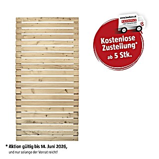 Sichtschutzelement Rhombus (B x H: 100 x 200 cm)
