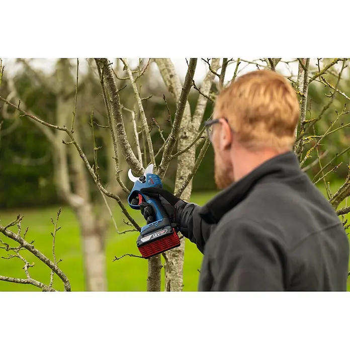 Bosch Akku-Astschere GGP18V-32 - 18 V, Max. Aststärke: 32 mm - Eine Person schneidet mit einer blau-schwarzen Akku-Astschere mit rotem Akku einen Ast.