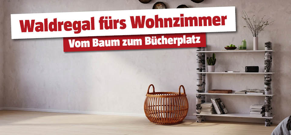 Selbstgemachtes Bücherregal aus Baumstämmen im Wohnzimmer