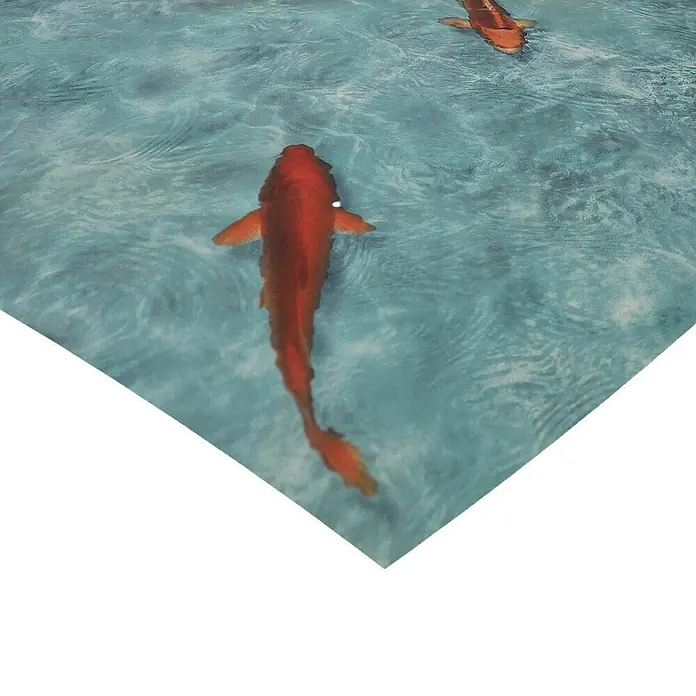 Vinylboden CV-Belag - 1.700 x 200 cm, Koi - Zwei orange Koi-Fische schwimmen in ruhigem, hellblauem Wasser, von oben gesehen.