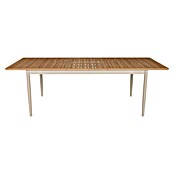 Gartentisch (L x B x H: 181 x 100 x 76 cm, Rechteckig, Braun, Aluminium) | BAUHAUS