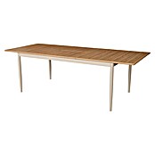 Gartentisch (L x B x H: 181 x 100 x 76 cm, Rechteckig, Braun, Aluminium) | BAUHAUS