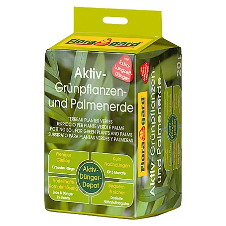 elefanten knoblauch saatgut kaufen Elefanten Knoblauch main image 1