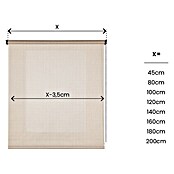 Estor enrollable Arles (An x Al: 100 x 180 cm, Beige, Unicolor) | BAUHAUS