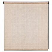 Estor enrollable Arles (An x Al: 100 x 180 cm, Beige, Unicolor) | BAUHAUS
