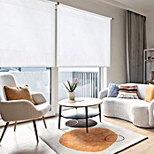 Estor enrollable Arles (An x Al: 80 x 180 cm, Blanco, Unicolor) | BAUHAUS
