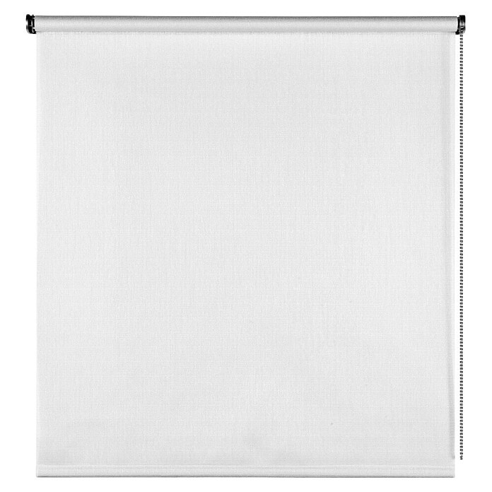 Estor enrollable Arles (An x Al: 80 x 180 cm, Blanco, Unicolor) | BAUHAUS