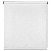 Estor enrollable Arles (An x Al: 80 x 180 cm, Blanco, Unicolor) | BAUHAUS
