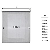 Estor enrollable Arles (An x Al: 80 x 180 cm, Gris, Unicolor) | BAUHAUS