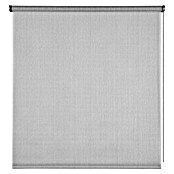 Estor enrollable Arles (An x Al: 80 x 180 cm, Gris, Unicolor) | BAUHAUS