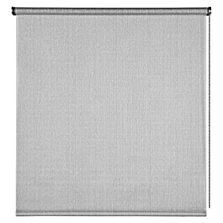 Estor enrollable Arles (An x Al: 140 x 180 cm, Gris, Unicolor)