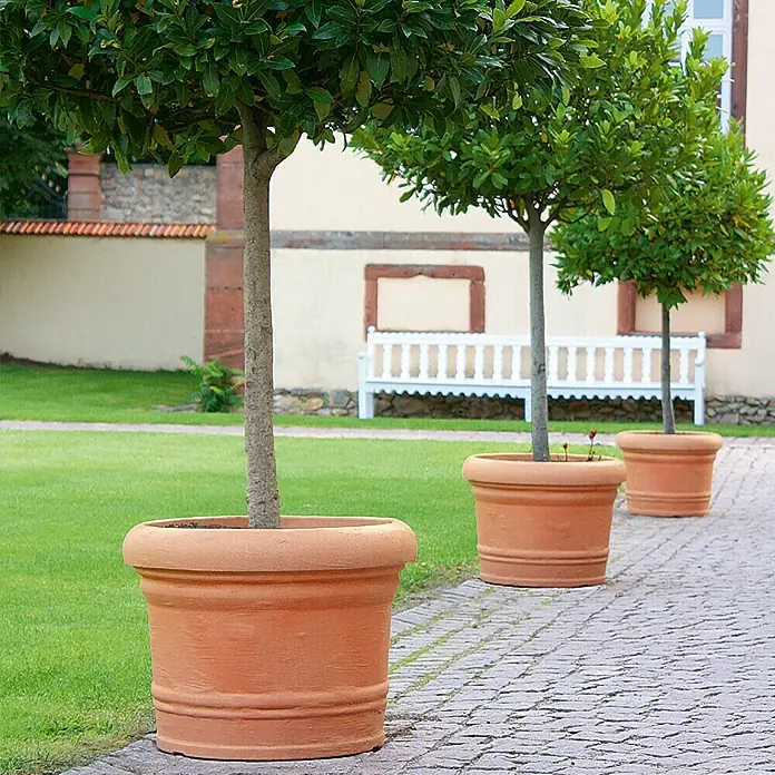 Geli Pflanzkübel rund Palermo - Außenmaß (Ø x H): 30 x 23 cm, Kunststoff, Terracotta - Drei Terracotta-Pflanzgefäße mit grünen Bäumen stehen auf einem gepflasterten Weg. Die Pflanzgefäße haben eine schöne Form und Textur.