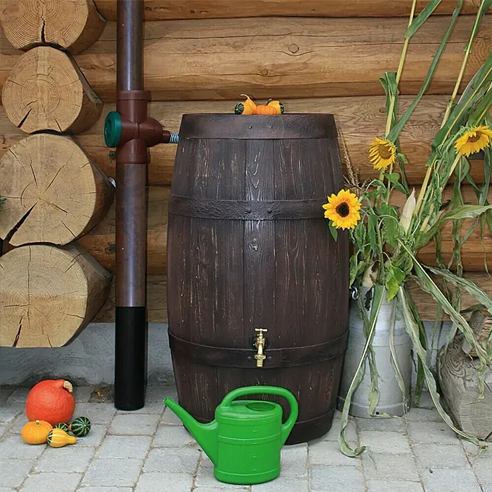 Arves Regenspeicher Barrique - 250 l, Dunkelbraun - Ein dekorativer Regenspeicher in Form eines Holzfasses neben einer grünen Gießkanne und verschiedenen Kürbissen vor einer Holzwand.