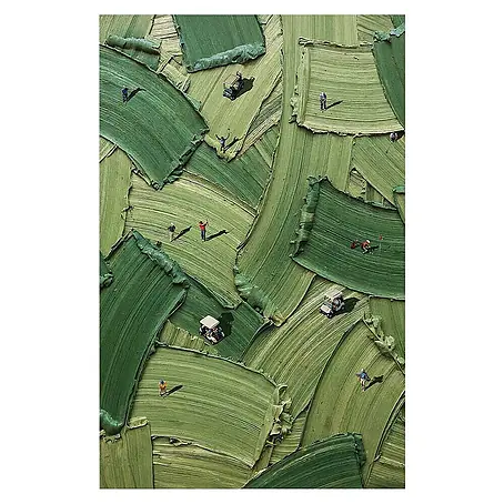 Dotcomcanvas  Decopanel