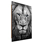 Dotcomcanvas Decopanel (Hungry Face, B x H: 58 x 90 cm) | BAUHAUS