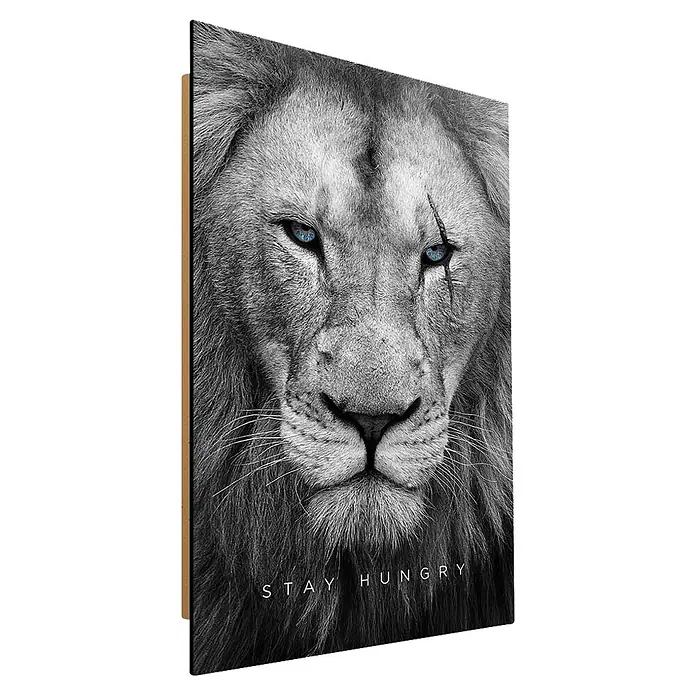 Dotcomcanvas Decopanel - Hungry Face, B x H: 58 x 90 cm - Schwarz-weiß-Leinwandbild eines Löwengesichts mit blauen Augen und Narbe, Text 'STAY HUNGRY'. Gerahmt.