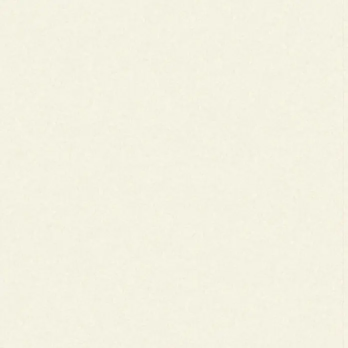 Wetwall Wandpaneel Elite - 120 x 242 cm, Blanco Frost, Nut & Feder System - Einfache cremefarbene Texturoberfläche.
