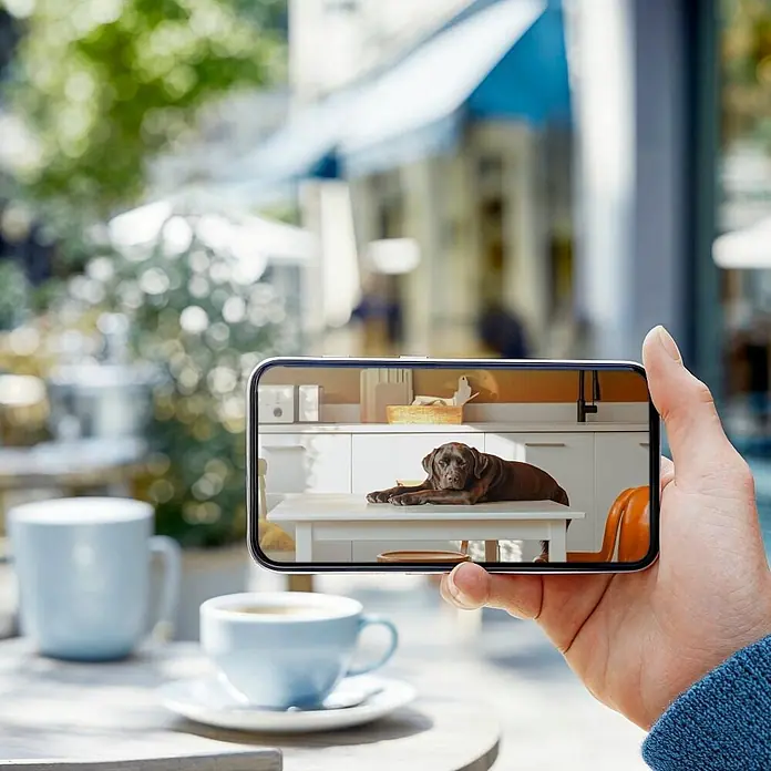 Hama Überwachungskamera 00176651 WLAN innen Nachtsicht Bewegungssensor 1080p -  - Smartphone zeigt einen braunen Hund auf einem Küchentisch, der Fernüberwachung demonstriert.