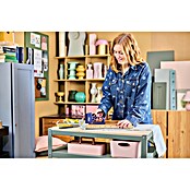 Rapid Handtacker M10Y (Dundraadnieten nr. 53 en fijndraadnieten nr. 13, 6-10 mm) | BAUHAUS